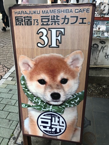 犬様 潜入 原宿豆柴カフェ No 125 秋葉原 大阪のメイドカフェなら あっとほぉーむカフェ